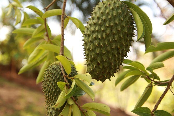 Jungle Bike Tour - Who Will Love This Tour?