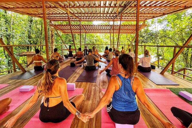 Jungle Bliss: Yoga, Waterfalls, and Blue Clay Experience W/Lunch - Itinerary Highlights