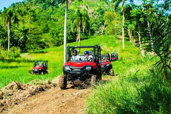 Jungle Buggies and Monkeyland from Punta Cana - An Authentic Adventure in Punta Cana  
