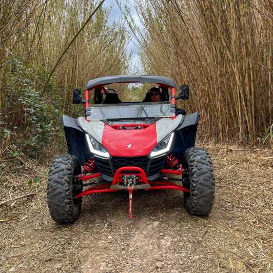Jungle: Buggy Adventure - Key Points