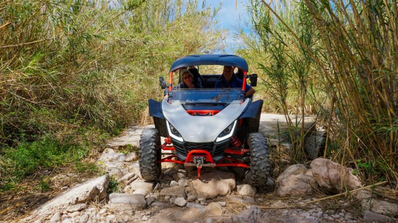 Jungle: Buggy Adventure - Booking and Cancellation