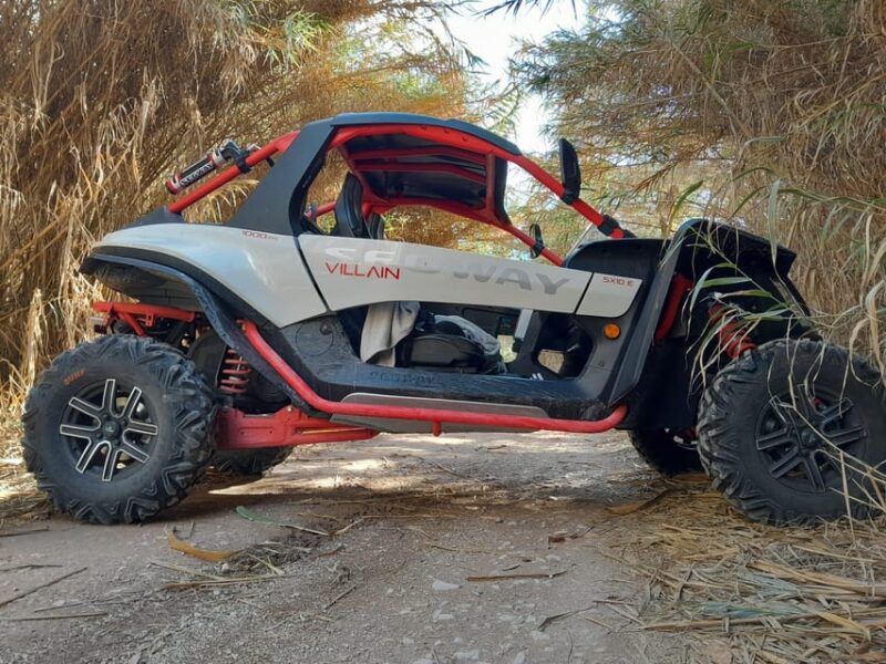 Jungle: Buggy Adventure - Tour Highlights