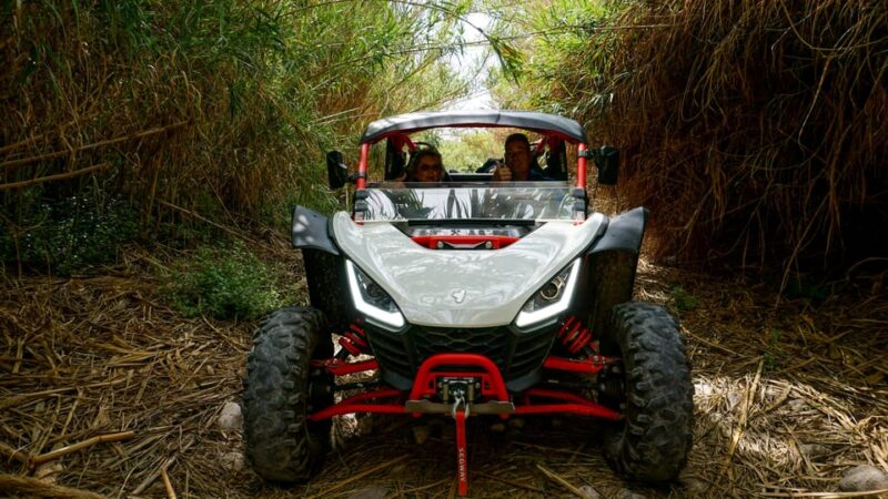 Jungle: Buggy Adventure - Safety and Restrictions