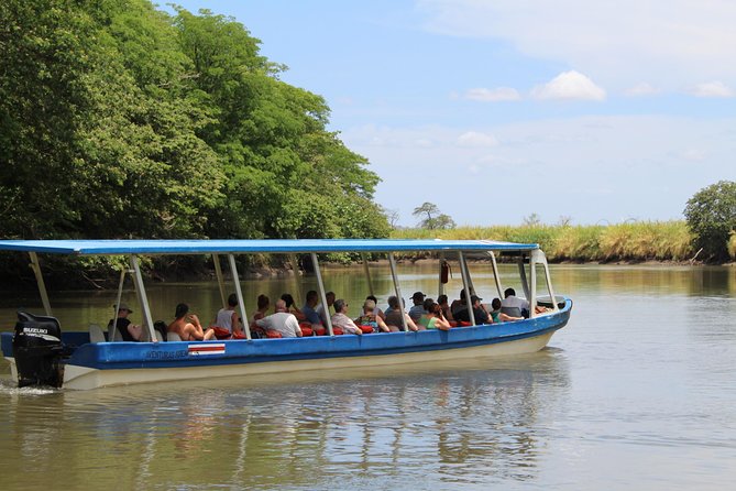Jungle Cruise at Palo Verde National Park - Inclusions and Logistics
