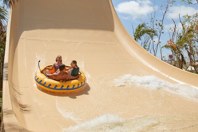 Jungle - An Honest Look at the Jungle Tour: What’s on Offer