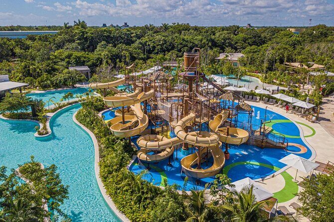 Jungle - Pricing and Value