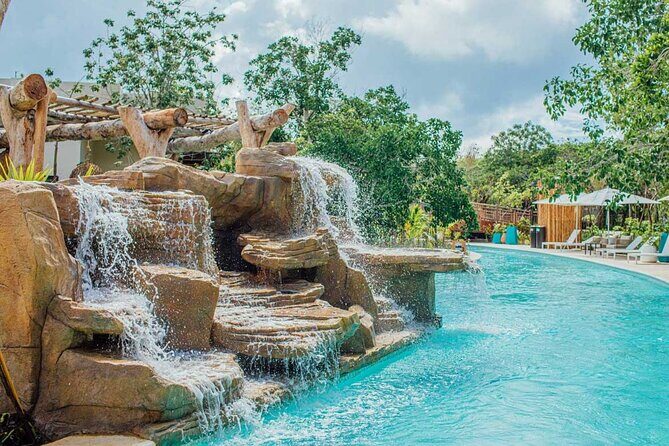 Jungle - Final Thoughts