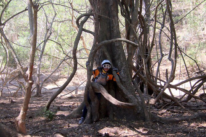 Jungle Hike Tour - FAQ