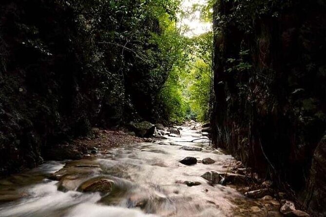 Jungle Hiking Adventure and Waterfall Swim. Nogalito Ecopark - The Value Proposition