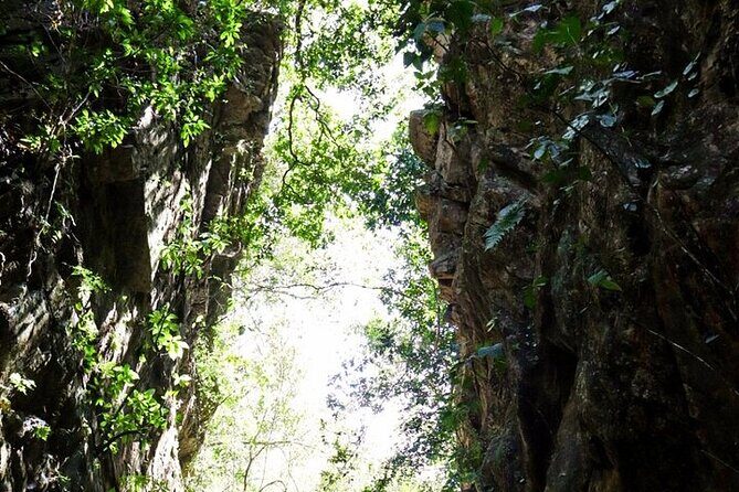 Jungle Hiking Adventure and Waterfall Swim. Nogalito Ecopark - Final Thoughts: Who Should Consider This Tour?