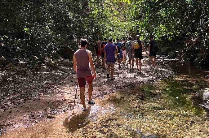 Jungle Hiking Adventure and Waterfall Swim. Nogalito Ecopark - FAQ