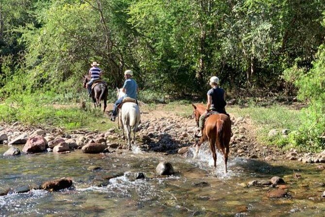 Jungle HorseBack Adventure to Las Palmas Waterfall All Included - An In-Depth Look at the Jungle HorseBack Adventure
