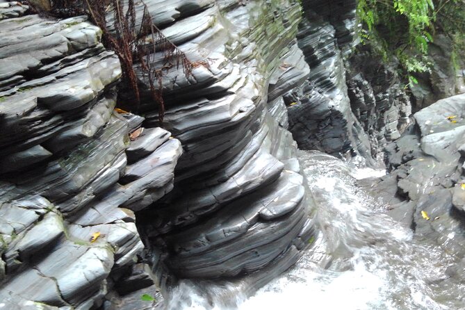 Jungle River Trek: Private Tour in Yanbaru, North Okinawa - Group Size