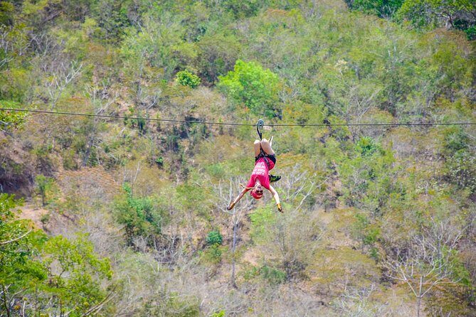 Jungle & River Zipline Tour Choose Boat or Van Ride - The Practical Side: Transportation, Costs, and Tips