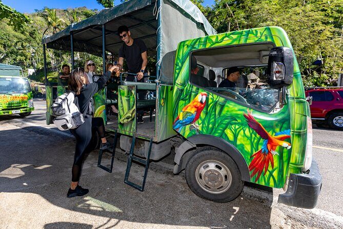 Jungle & River Zipline Tour Choose Boat or Van Ride - Authentic Reviews: What Real Travelers Say