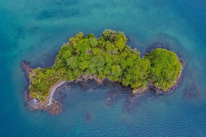 Jungle & Sea Mogos - Osa Peninsula - Good To Know