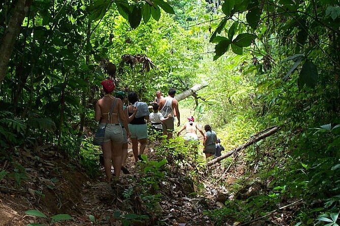 Jungle & Sea Mogos - Osa Peninsula - Feedback and Ratings