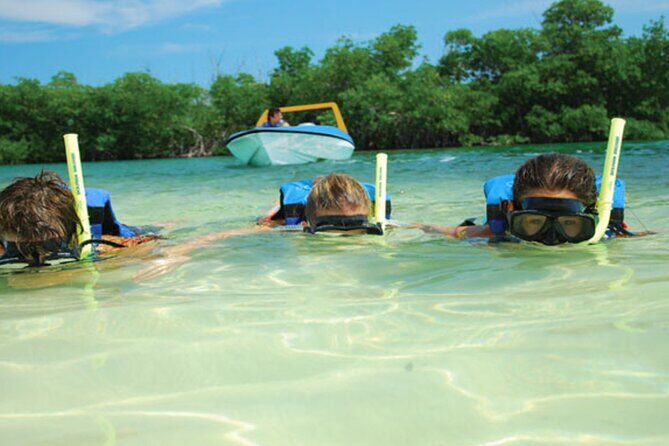 Jungle Tour Adventure in Cancun with Snorkeling - What the Reviews Say