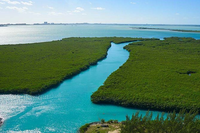 Jungle Tour . Lagoon, Mangrooves & Snorkel for Couples - What Travelers Are Saying