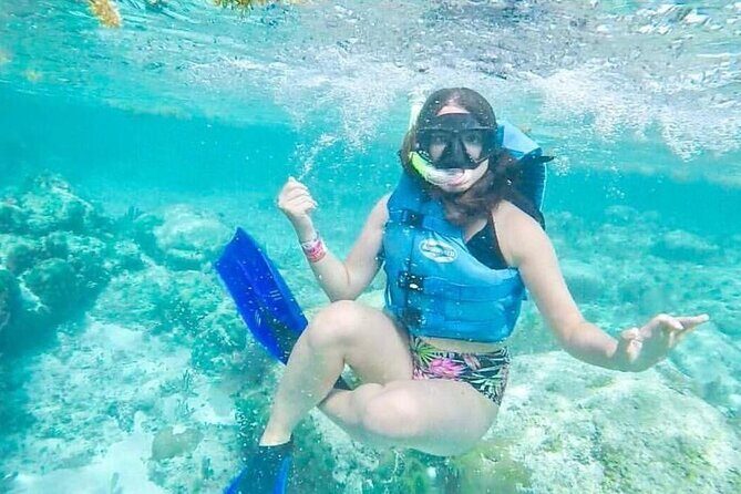 Jungle Tour - Mangroves & Snorkel (Couples) - Authentic Feedback & Realistic Expectations