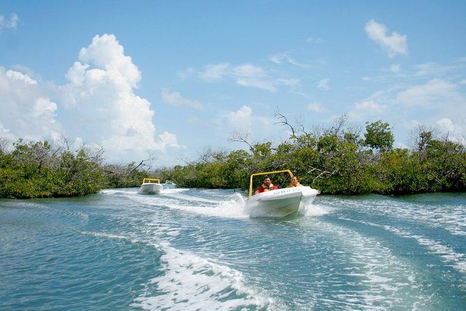 Jungle Tour - Mangroves & Snorkel (Couples) - Who Will Love This Tour?