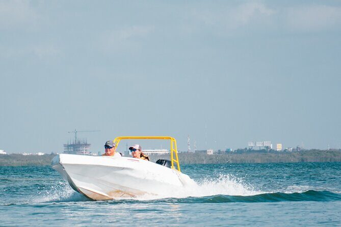 Jungle Tour Single (speed boat + snorkel ) in Cancun - Who Will Love This Tour?