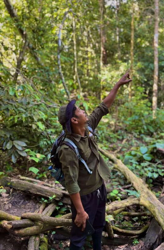 Jungle Trek including stay Batu Ridi Jungle - The Itinerary and What You Can Expect