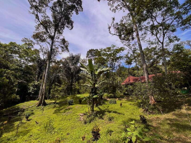 Jungle Trek including stay Batu Ridi Jungle - FAQ