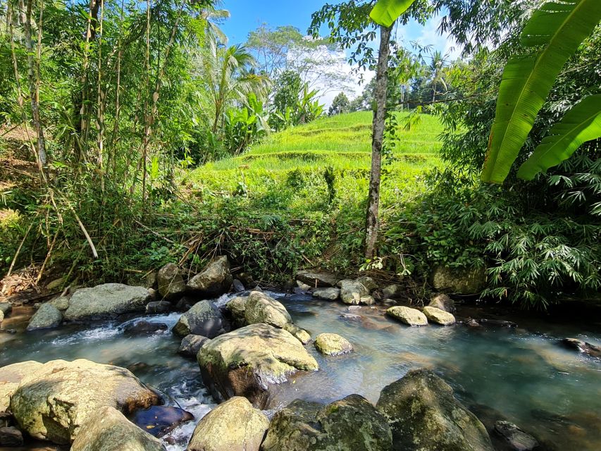 Jungle Trekking at Mt. Batukaru, Scenic Waterfall & Village - Key Points