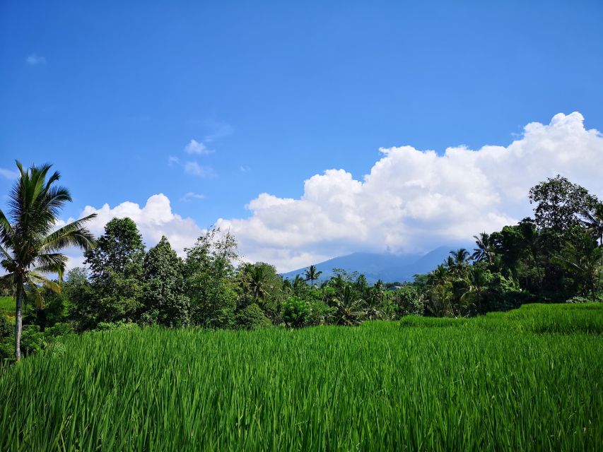 Jungle Trekking at Mt. Batukaru, Scenic Waterfall & Village - Pickup and Dropoff