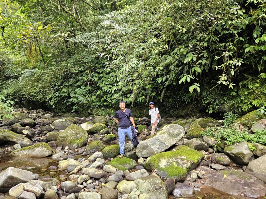 Jungle Trekking at Mt. Batukaru, Scenic Waterfall & Village - Highlights of the Adventure