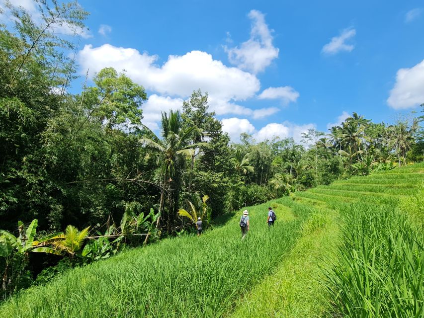Jungle Trekking at Mt. Batukaru, Scenic Waterfall & Village - Tour Restrictions
