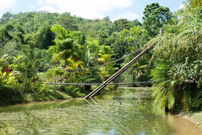 Jungle Zipline and River Tubing Private Tour - The Sum Up