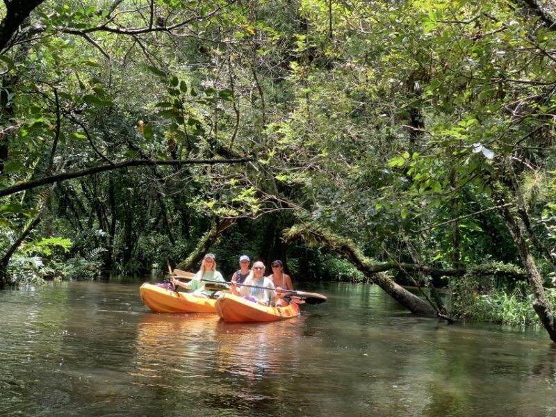 Jupiter: Wild and Scenic Loxahatchee River Kayak Tour - Exploring the Journey of the Loxahatchee River