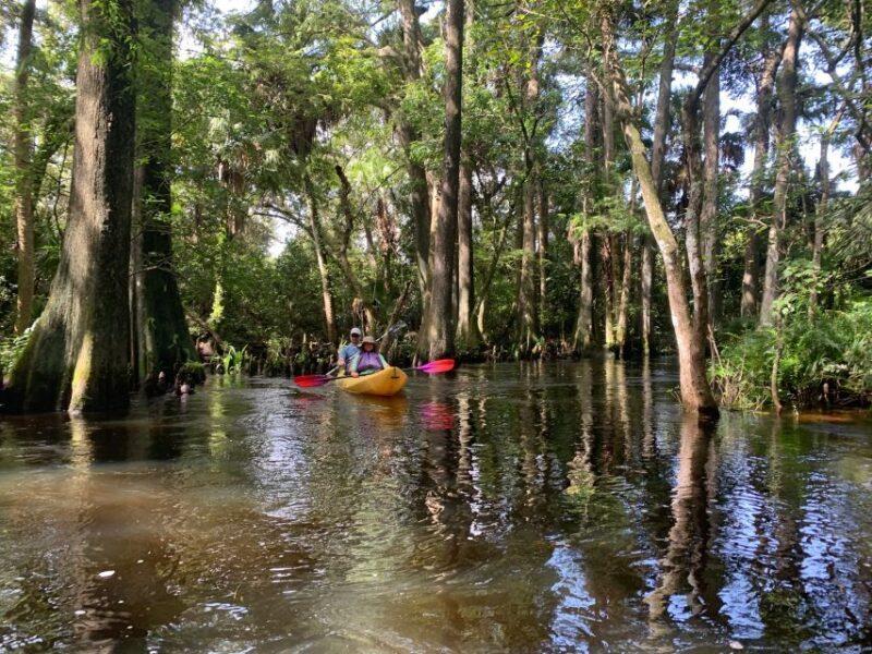 Jupiter: Wild and Scenic Loxahatchee River Kayak Tour - The Experience and Reviews from Fellow Travelers