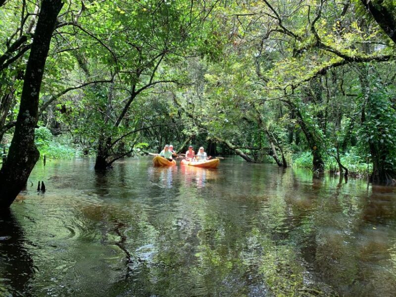 Jupiter: Wild and Scenic Loxahatchee River Kayak Tour - FAQs