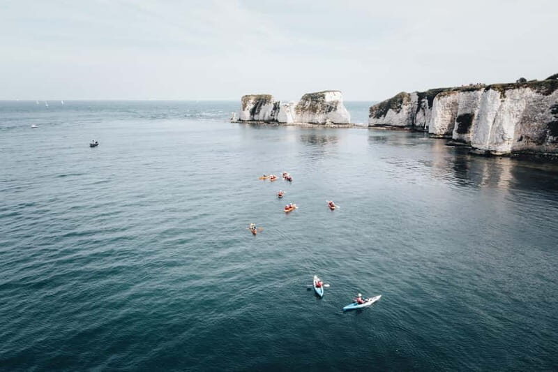 Jurassic Coast Kayaking Tour to Old Harry Rocks - An Overview of What to Expect