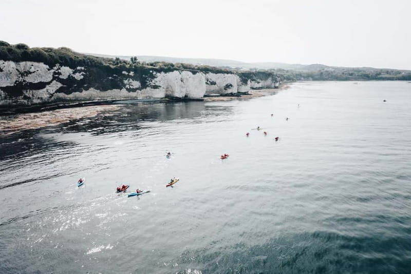 Jurassic Coast Kayaking Tour to Old Harry Rocks - Wildlife and Nature Encounters
