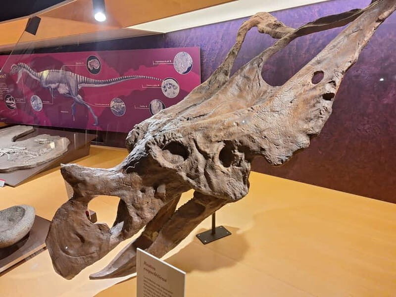 Jurassic Museum of Asturias Guided Tour from Oviedo - A Deep Dive into the Jurassic Museum of Asturias Guided Tour