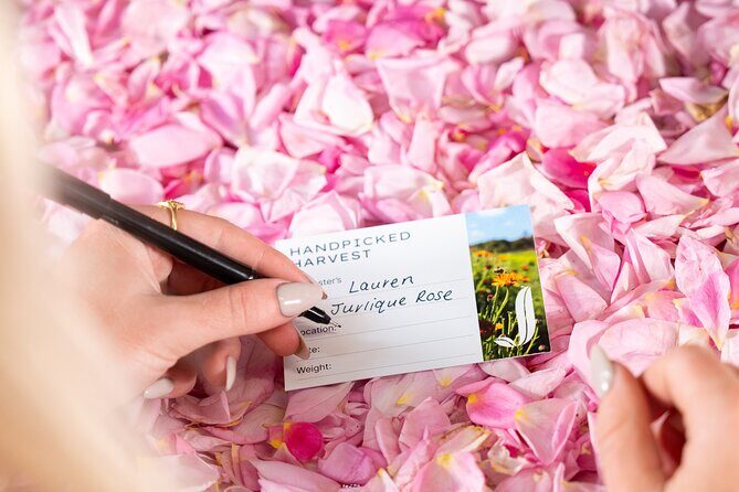 Jurlique Handpicked Masterclass - The Experience’s Practical Details