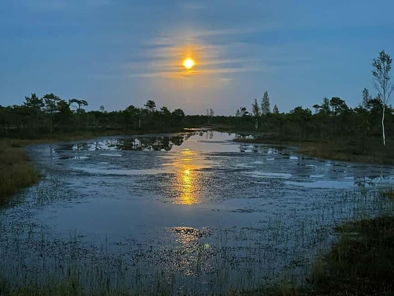 Jurmala: Kemeri National Park Sunset Trip - Key Points