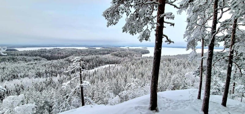Jyvaskyla: Ice Fishing Experience with a Finnish Guide - What Makes It Stand Out