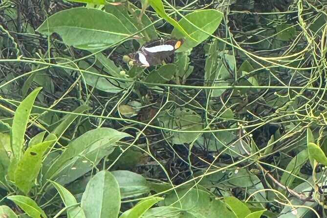 Kaan Luum Lagoon and Cenote Adventure - The Practicalities: Logistics and Pricing