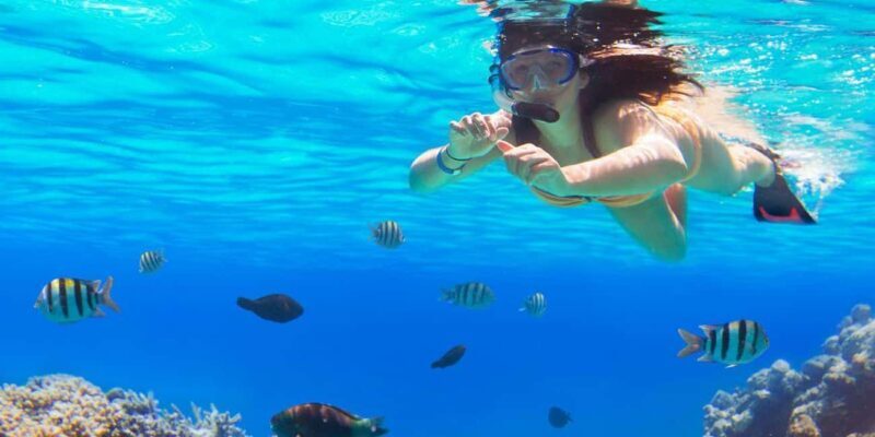 Ka'anapali Beach: Coral Reef Snorkel and Turtle Spotting - Kaanapali Beach: Coral Reef Snorkel and Turtle Spotting — An Honest Look