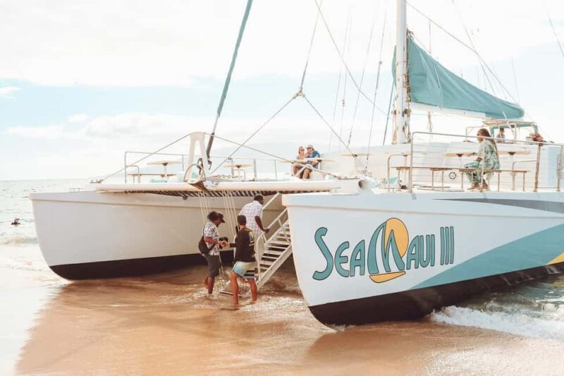 Ka'anapali Beach: Coral Reef Snorkel and Turtle Spotting - The Sum Up