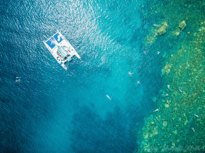 Kaanapali Beach: Express Snorkel Trip - Customer Reviews and Ratings