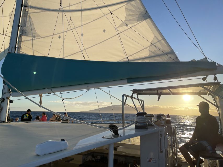 Kaanapali: Sunset Dinner Catamaran Cruise With Drinks - Wildlife Spotting