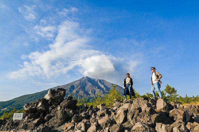 Kagoshima Custom Tour With Private Car and Driver - Fuel, Toll, and Parking Fees
