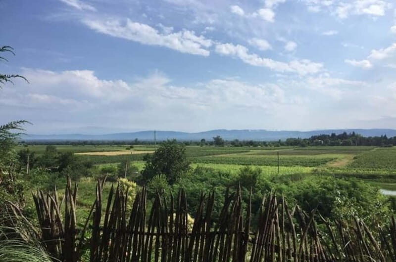 Kahketi: Full-Day Wine Tasting Tour with Lunch - FAQs