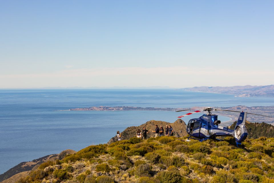 Kaikoura: 1-Hour Whale Watching Helicopter Tour - Directions